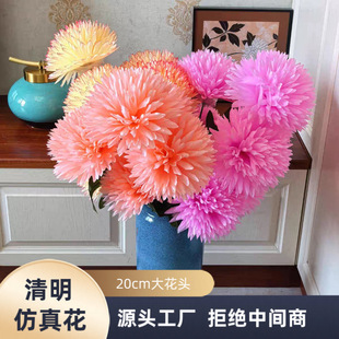 ���滨�ٻ����Ͻ��� ����������������R���� �ω�Ĺ���b�ˇ