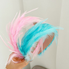 Cross-border Amazon Multicolored Feather Hair Accessories Hair Cave Women High Crown Hair Combs R613