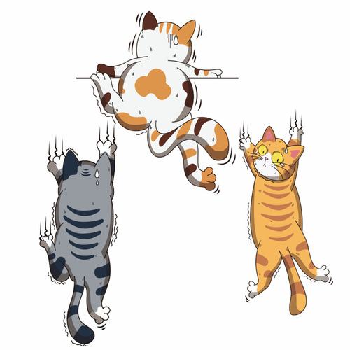Personalized and interesting scratches for pet cats, car stickers, scratch stickers, body decoration stickers, electric vehicle and motorcycle waterproof stickers