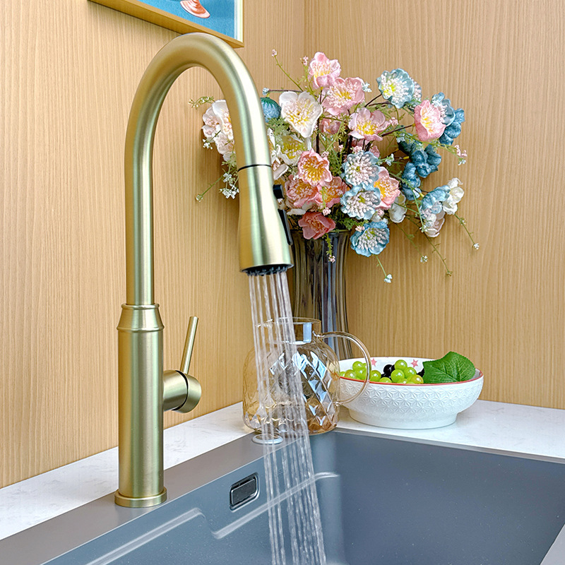 Cross-Border 304 Stainless Steel Kitchen Pull-Out Faucet Brushed Gold Hot and Cold Sink Sink Faucet Source Manufacturer