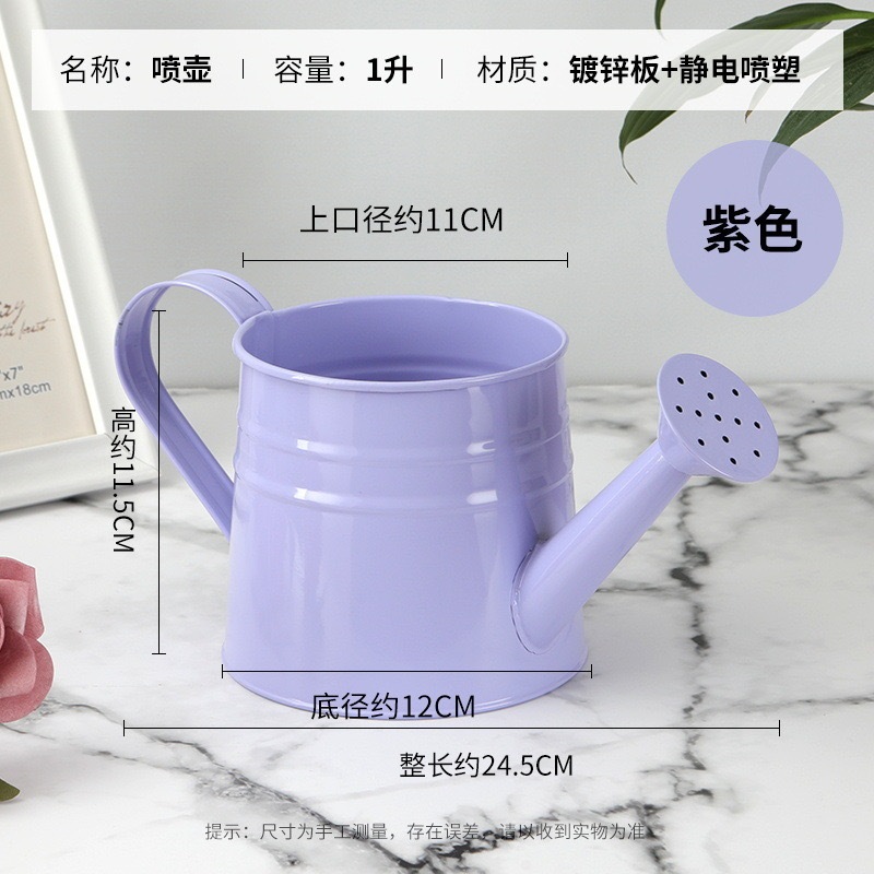 教师节礼物彩色小丑怪花束插花桶铁皮桶创意小洒水壶盆栽植物花盆|undefined
