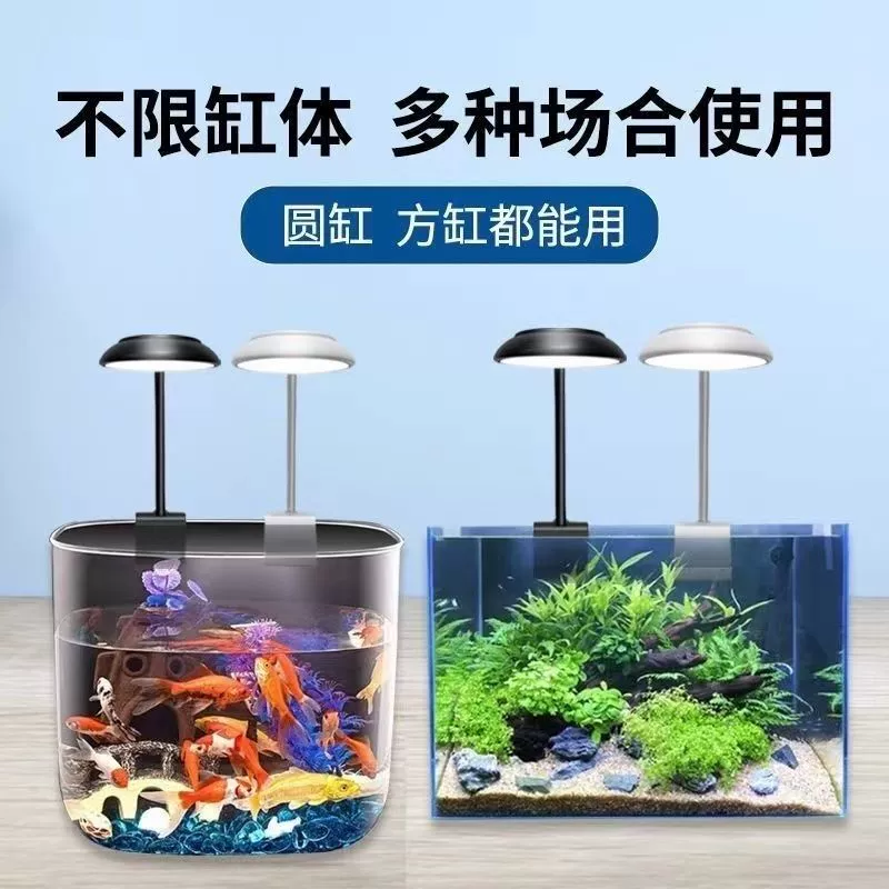 Aquarium, LED aquatic plants, small waterproof lights