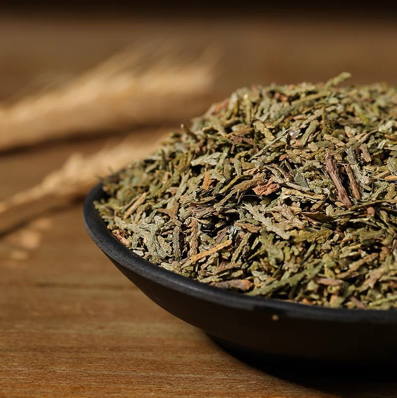 Dried Cacumen Platycladi Leaves Ce Bai Ye 500g Sun Dried Oriental Arborvitae Foliage for Herbal Tea and Decoction specifications
