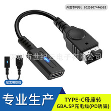 ���Sֱ�N��Ʒ�| TYPE-Cĸ���DGBA.SP�Α�C��늾���ɫ10cm