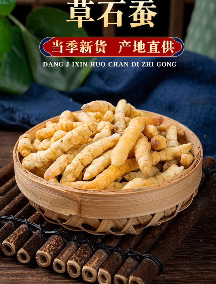 Chinese Artichoke Cao Shi Can 500g Dried Stachys Sieboldii Rhizome Traditional Herbal Ingredient overview