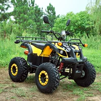 125CCATV ATV внедорожник квадроцикл четырехколесный мотоцикл снегоход спортивный активный отдых на открытом воздухе