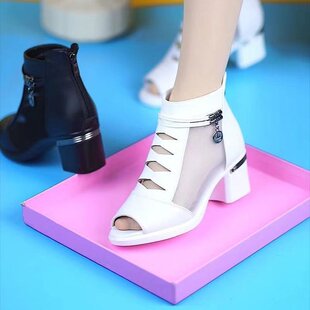 Cross-border Fishmouth Chunky Heel Sandals Summer New Back Zipper Mesh High Heels Martin Boots Fashion Boots Spring and Summer Breathable