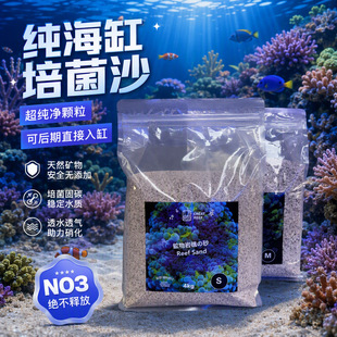 �ձ�CREAT REEF������ ��ˮɳ�V��ɳ�쾰ɳ�����Ϸ��_�նؿ�����