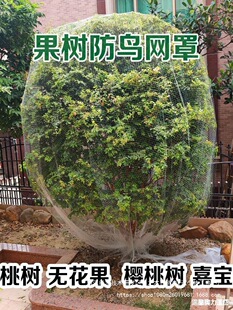 �W�����������������B��ȸ�r������ļ��׾W�W������η����B�W�B