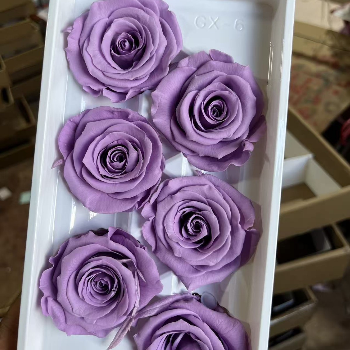 Rosa Eterna A+ de 5-6 cm, Flor Real Seca, Regalo DIY, Fábrica de Yunnan, Ramo para el Día de la Madre 520