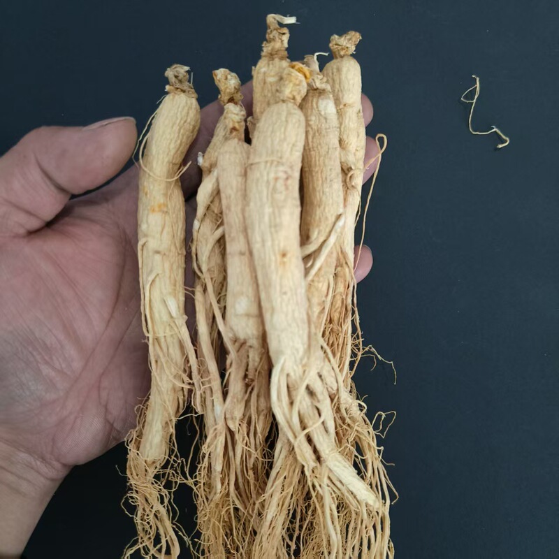 足龄老人参干货长白山250克人叁泡酒泡水中药材东北特产生晒白参|undefined