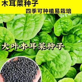 蔬菜种子;粮食作物种子;一二年生花卉