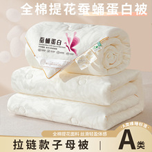 AȫỨQӼױļͨöһĸWﶬо