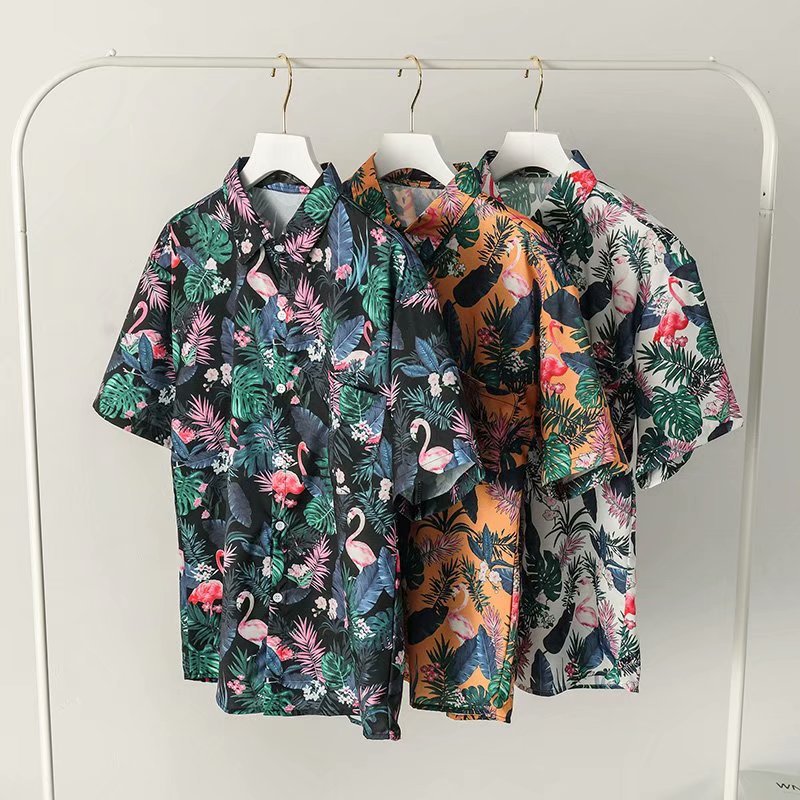 i2uUjf6mxdTrdS49SARwxMtZOQYklIYU2Fx4