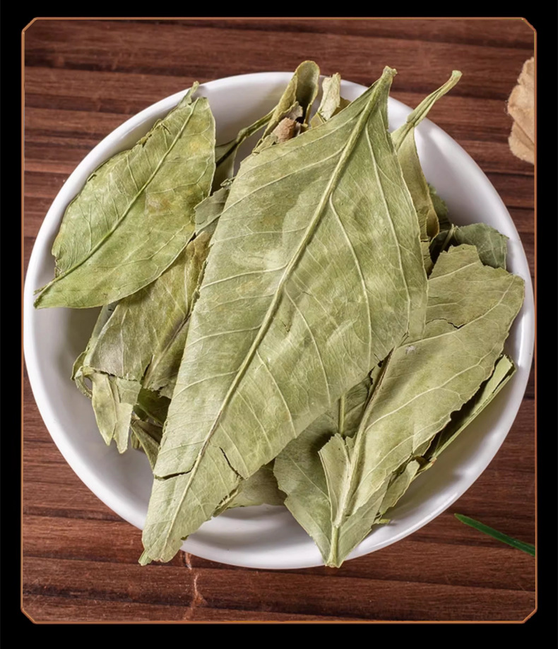 Dried Kumquat Leaf Jin Ju Ye 50g Pack Natural Sun Dried Loose Herb for Traditional Herbal Tea and Decoction in use