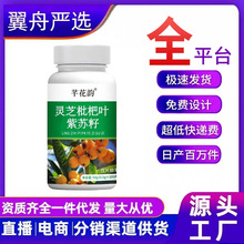 �`֥�����~���K���B���������xԭ���Ϲ��S�F؛ֱ���������l���l