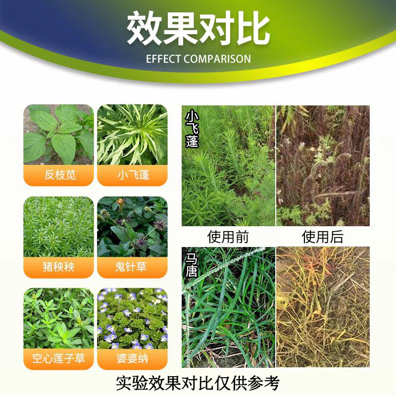 微信图片_20240326124945