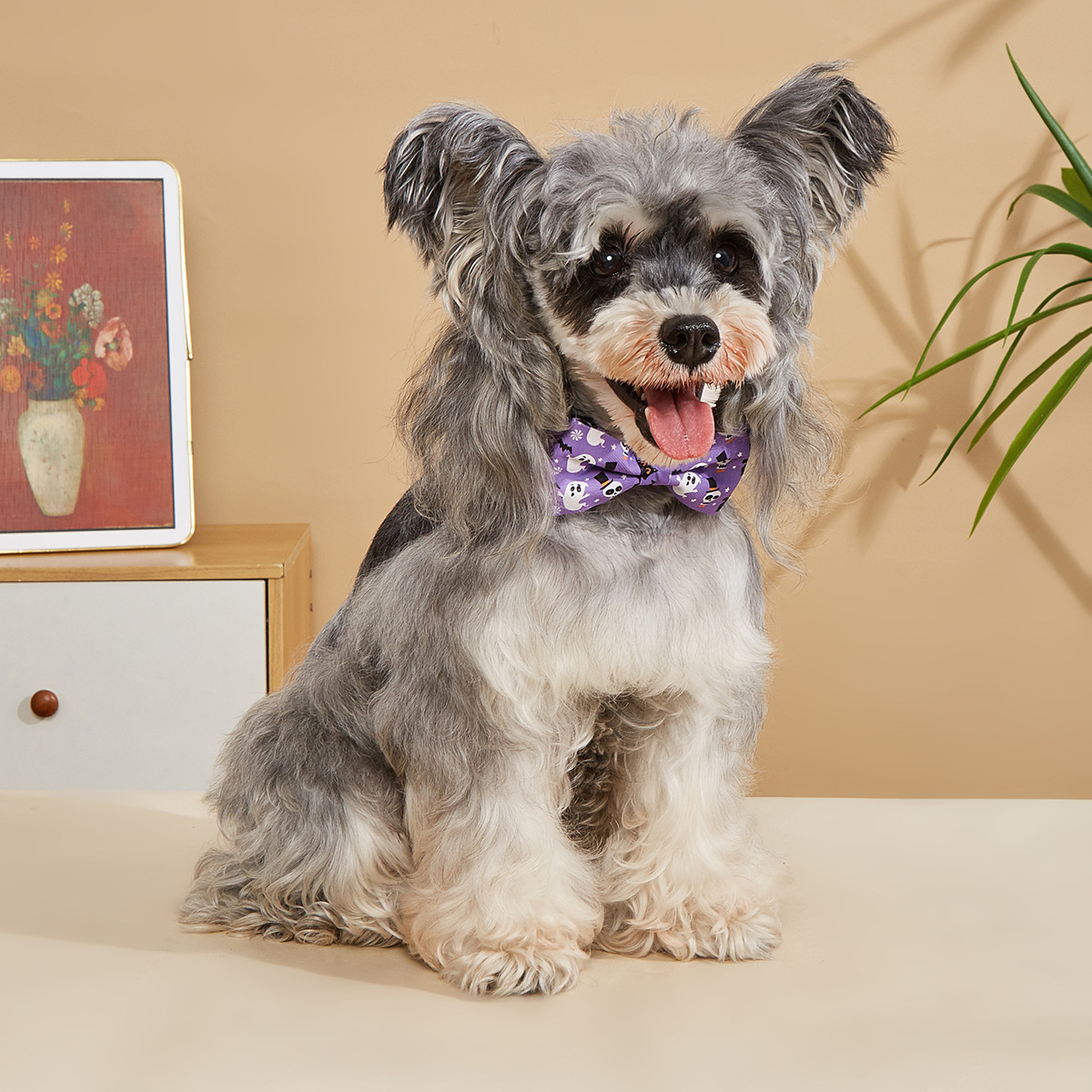 TANPOPPO Halloween Ghost Print Pajarita para mascotas Medio y pequeño Perro Bowknot Schnauzer Bear ajustable