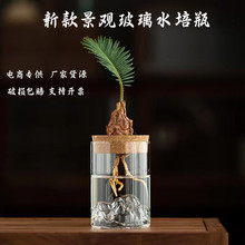 创意景观瓶观山花瓶水培植物瓶办公室桌面绿萝小花瓶直筒玻璃瓶子