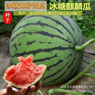 �o�����ϷN�ӷN���ļ����ǟo�����ϷN��Ƥ��С����ˮ���N��