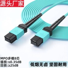 MPO��ģ�f�׹��w�������ɹ��|�������w�����f��40G/100Gβ�w��