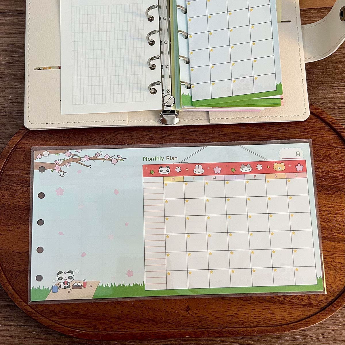 Handheld M5 Storage Set — Transparent PVC Shell, Inner Pages & Accessories, Multi-Color