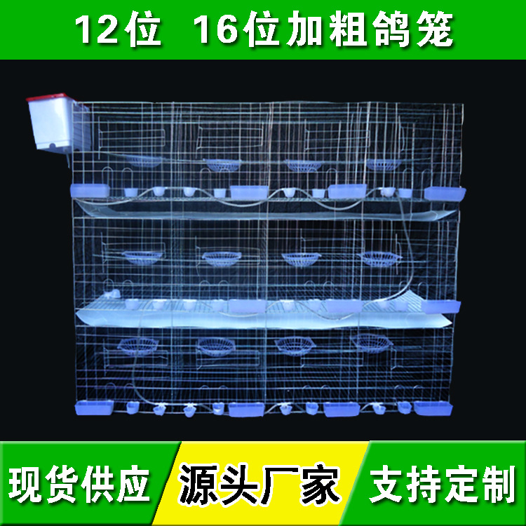 防锈鸽子笼养殖笼 加粗12位鸽笼子 16位鸽子笼 肉鸽笼 信鸽笼