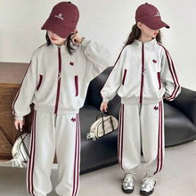 女童套装春秋款2025新款儿童洋气休闲大童运动秋季女孩时尚两件套