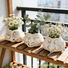 ���f�����Ę���脓�����Gֲ�����̨ͥԺ�����b@ˇ����[��