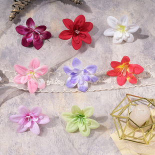 ��ѩ�m���^����ٻ��ֹ���DIY���h�l�c�ػ��͹ŔzӰ�������l