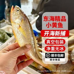 �|���S���~���r���Ұ���S�~С�S�~���rˮ�a���l����4���b���]