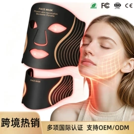 电子美容仪;蒸汽清洁机;面罩美容仪