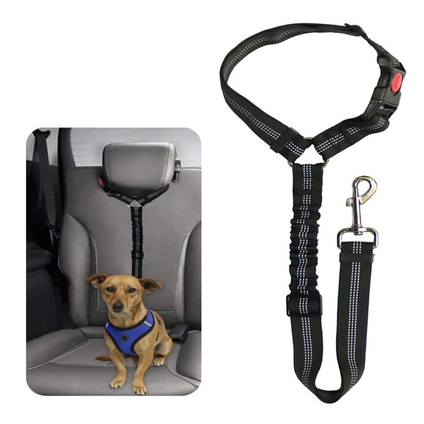 Pet Supplies Car Seat Belt Round Ring Dog Retractable Elastic Reflective Glow-in-the-Dark Cat Leash_voghion.com