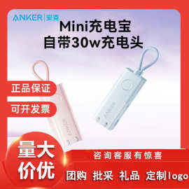 Anker安克能量棒Pro款充电宝充电器二合一30W移动电源带插头A1634