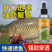 日本野钓高浓缩诱鱼添加黑坑鲫鲤草鳊淡水鱼钓鱼小药鱼饵料