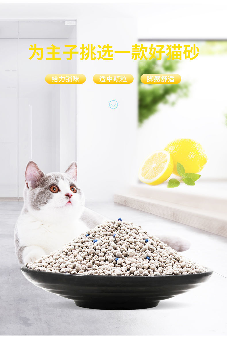 c356c9e6-9d82-4c37-8aac-5d929100f227.jpe