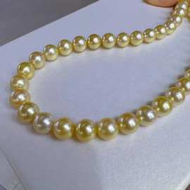 高级亮金色倪妮同款10-12南洋海水浓金珠项链 细腻干净时随性百搭