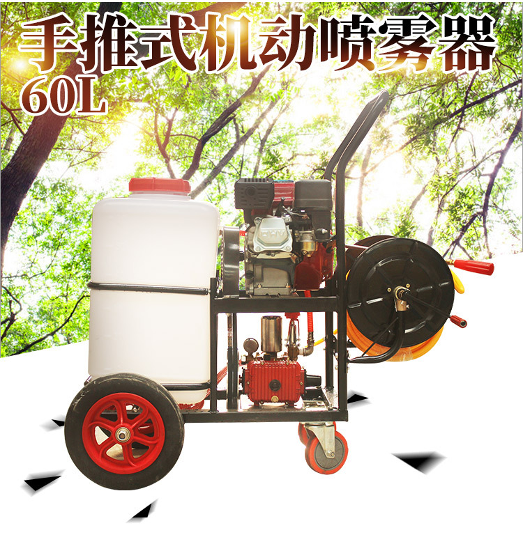 ���ƻ���������ȫ�»�60���̻�����ƺС������ɱ����ϴ��ֳ��ʹ��