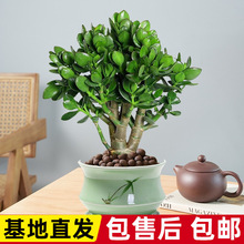 �Ϙ��������Զ���ֲ���҃��ļ����B�Gֲ�����՚��ļ����G����