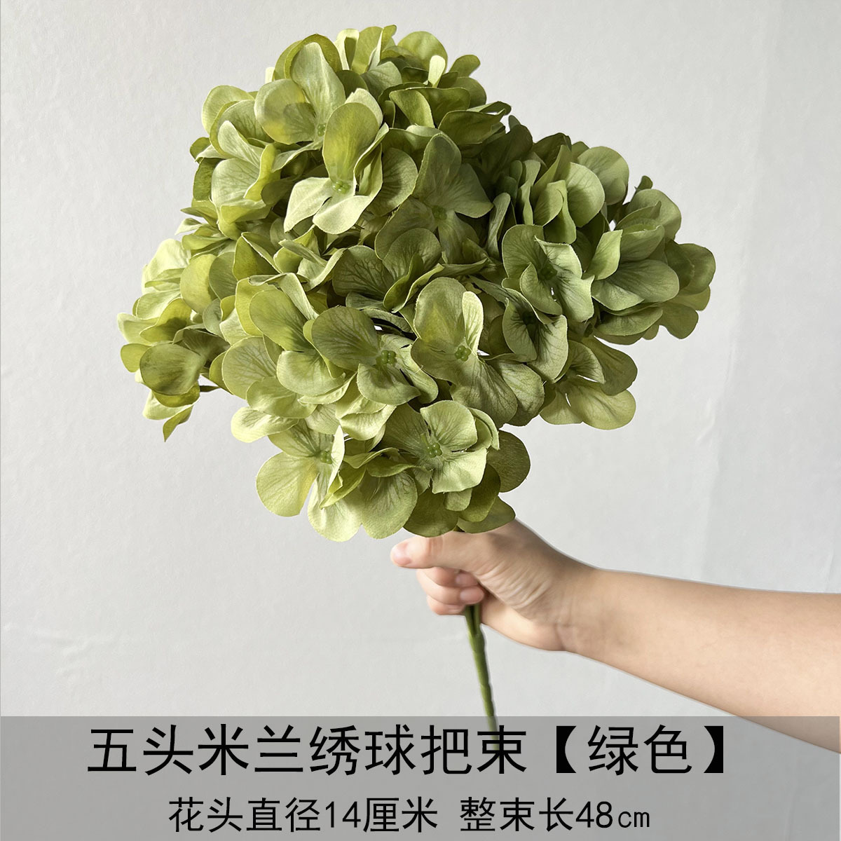 Un ramo de Hortensia milanés de cinco cabezas - verde