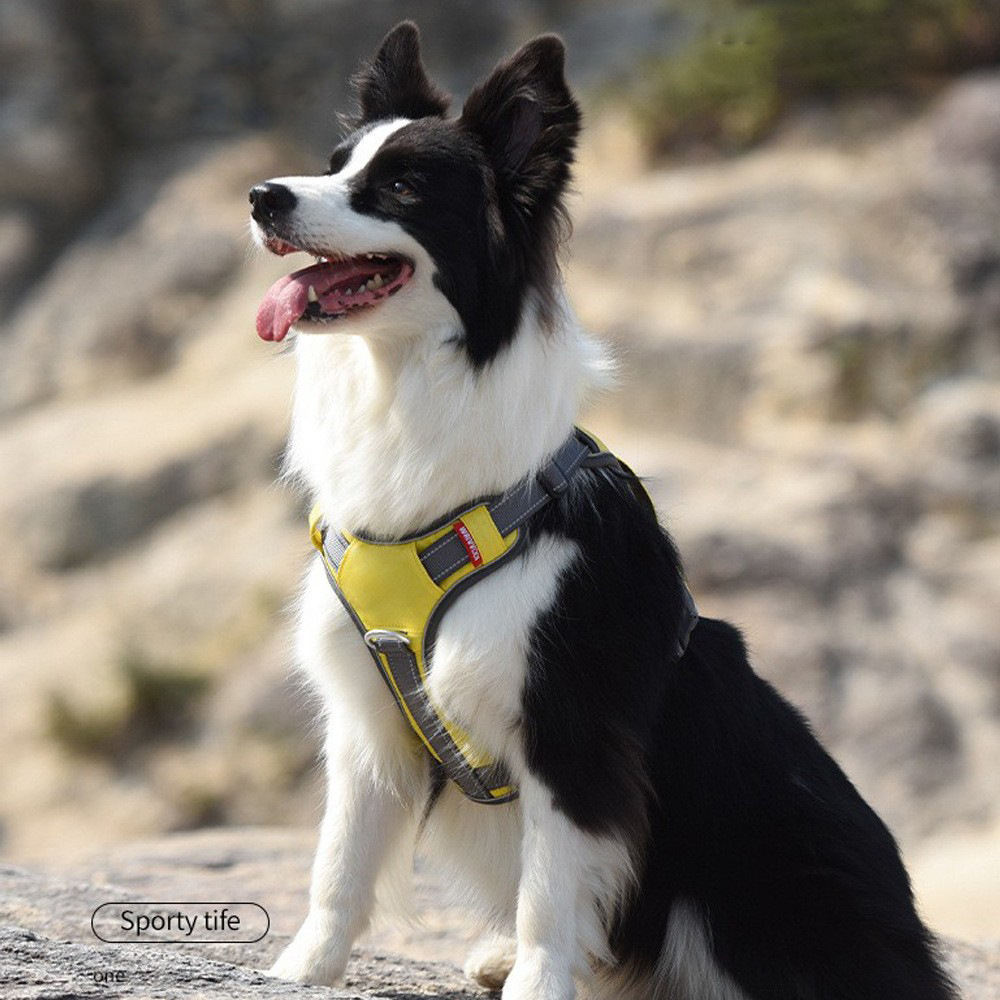 Corda de tracción de perros transfronterizos, cinturón de pecho para mascotas, cuerda de perros a prueba de explosiones para perros al aire libre, cuerda de perros para caminar para perros de tamaño medio