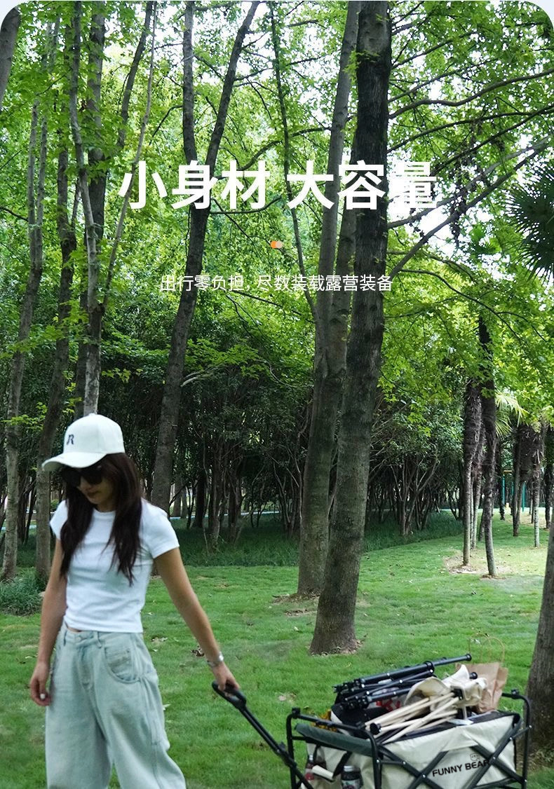 d829b5de-31d7-4e2f-b5c1-a6f6442286a7.jpe