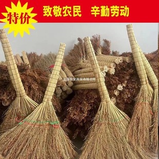 �߰ђ������������������ֹ��WУͥԺ���S�l��