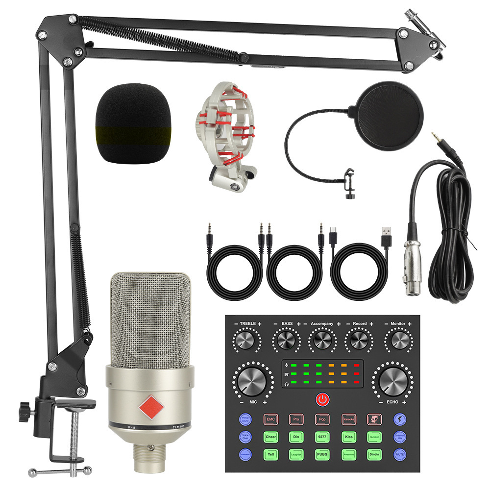 Cross-Border 103 Condenser Microphone V8S Mobile Phone English Sound Card Computer USB Cantilever Bracket Live Broadcast Set