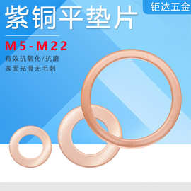 铜垫圈 紫铜垫片 红铜密封垫片船用表平垫圈铜M5*9*1- M20*28*1.5