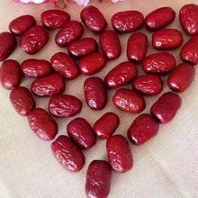 金丝小枣熬汤粽子沧州无核枣批发散装煲粥金丝红枣包500g小红枣