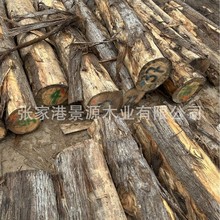寿材料棺材料黄香柏木柏木桧木黄香柏黄香柏红香柏木原木江苏产地
