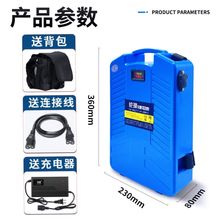 24V60V大容量18650锂电池背负式电动割草机采茶机园林工具专用