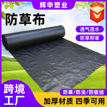 �羳�������ݲ����üӺ��ֲݲ����ݲ��@ˇ�����w�ݲ��๦�ܷ��ݲ�