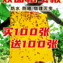 �p��ճ�x������T�x�S�{����wω����@���˵��E�R�z��N���S��